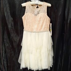 Rare Editions Pink Embroidered Lace Dress